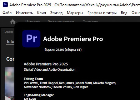 Adobe Premiere Pro 2025 25.0 - крякнутый (на пк)