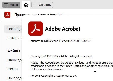 Adobe Acrobat Pro DC 2025.001.20467 - (крякнутый)