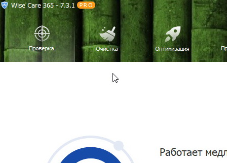 Wise Care 365 Pro 7.3.1 (на русском) + ключ