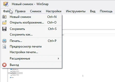 WinSnap 6.3.1