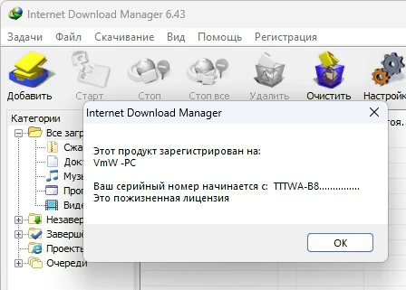 Internet Download Manager 6.43.12 и серийный номер